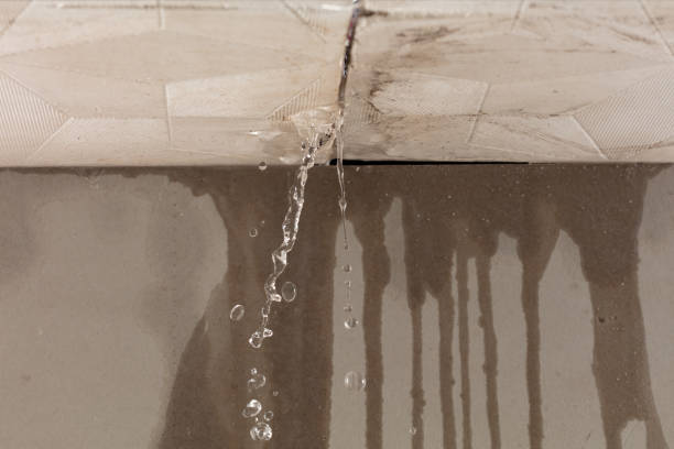 Professional Structural Drying technician working in Oakland, PA